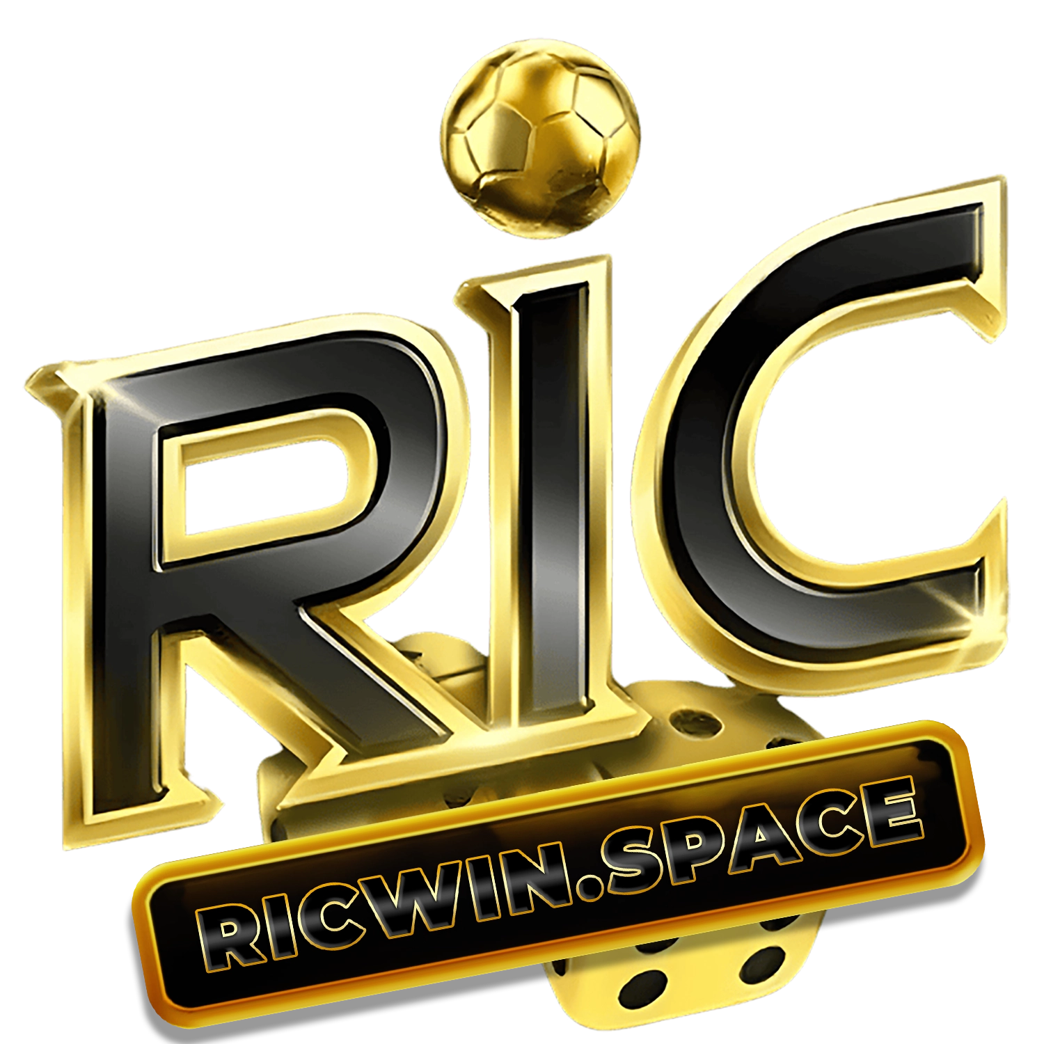 Logo Ricwin