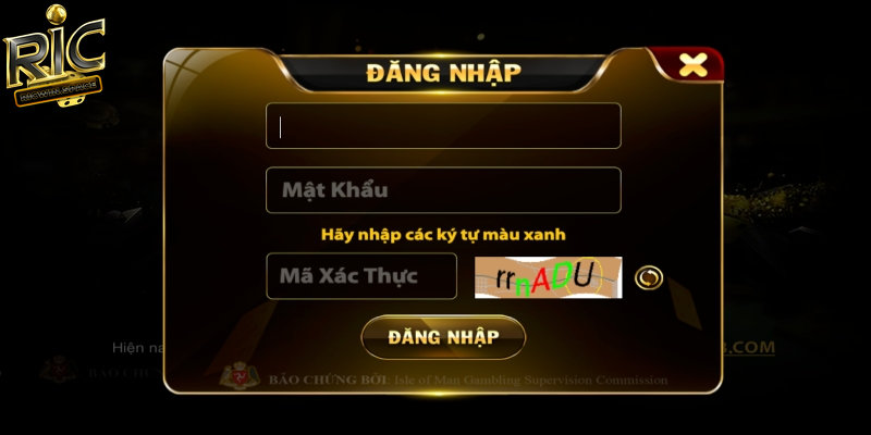 Những thông tin người chơi cần điền khi đăng nhập Ricwin